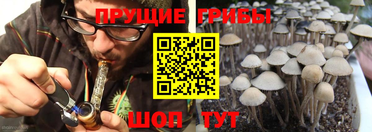 Псилоцибиновые грибы MAGIC MUSHROOMS  Псилоцибиновые грибы мухоморы  Вход с VPN  Миасс 